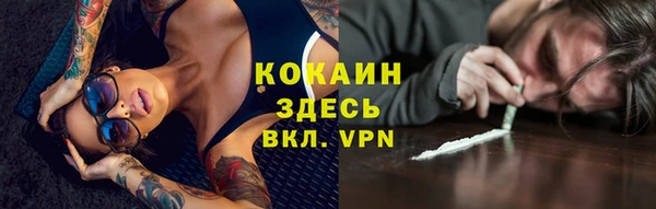 мяу мяу мука Алзамай